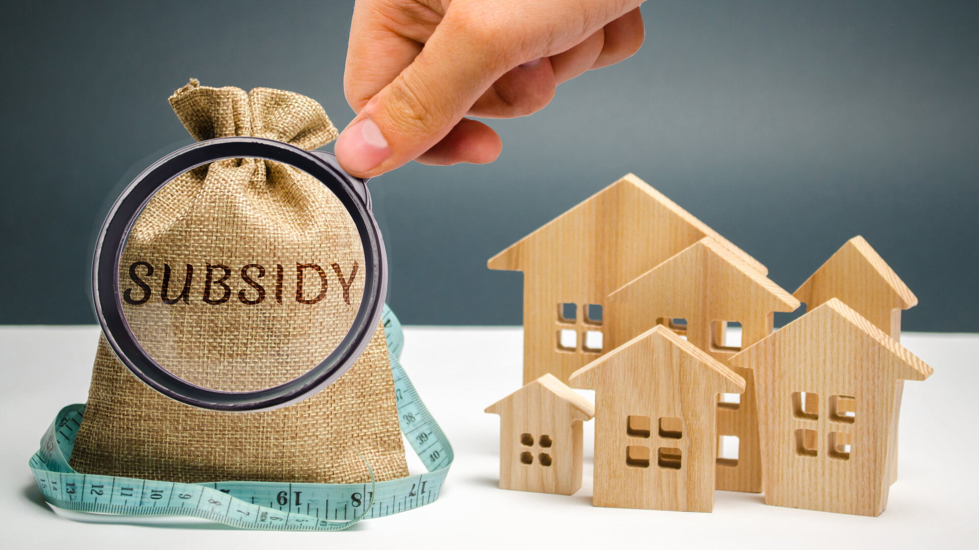 What Is Subsidy? Types Of Subsidy, Company Subsidy & Government Subsidy