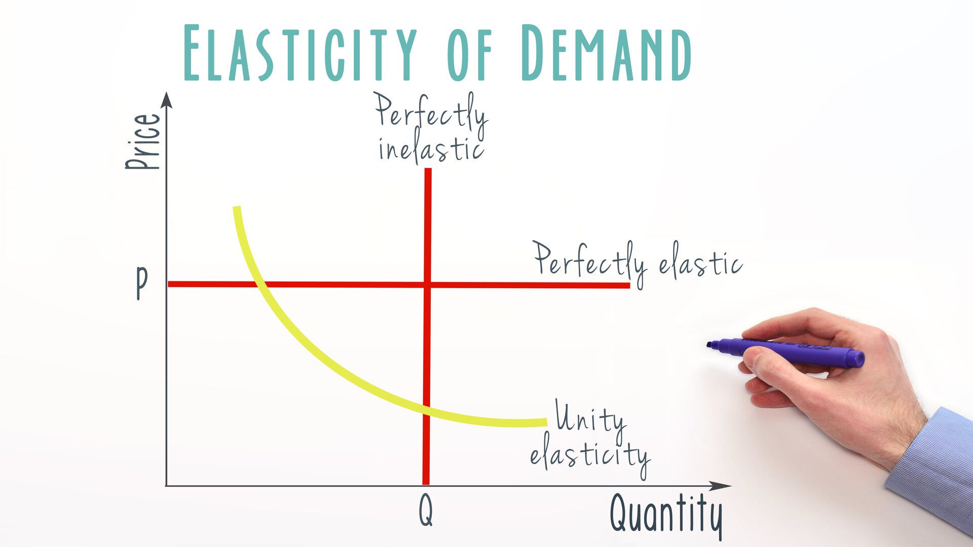 assignment elasticity of demand