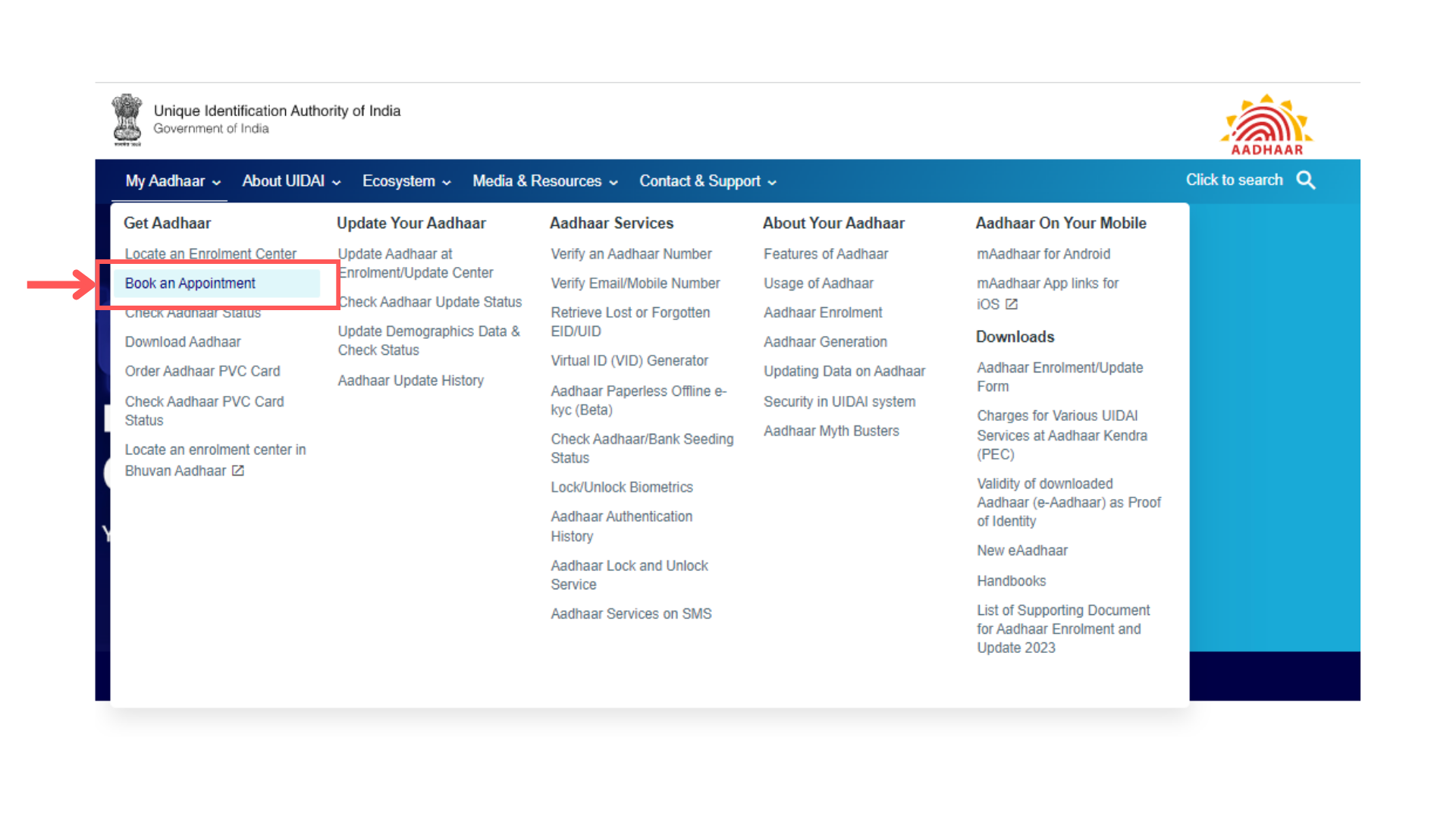 Aadhar Card For NRIs Importance, Steps To Apply, Eligibility Criteria